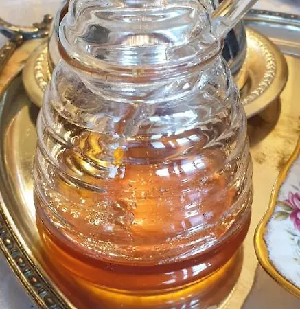 La Tour Noble Saint-Saturnin (Puy-de-Dome)